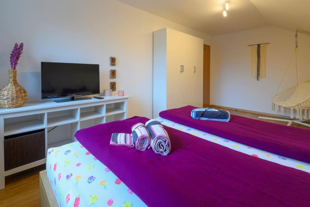 Family Apartment Bad Goisern Eksteriør billede